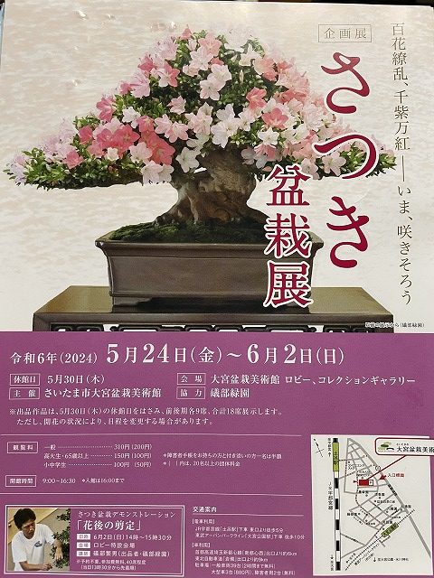 さつき盆栽展　百花繚乱、千紫万紅