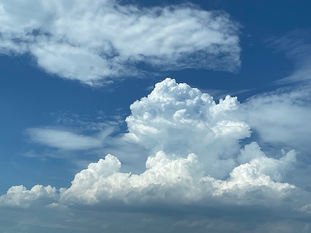 明日から夏休み